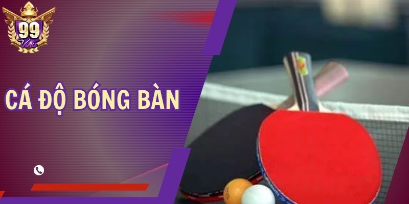 Cá Độ Bóng Bàn - Cách Đạt Được Mức Lợi Nhuận Cao Nhất