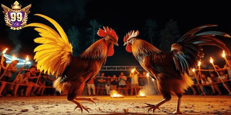 Lựa chọn đầu tư đầy thách thức, thưởng cực cao