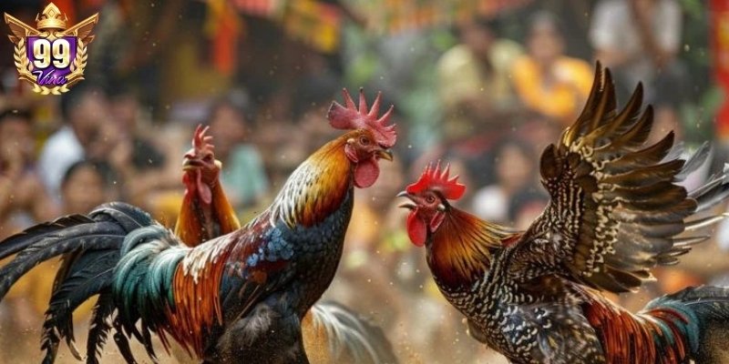 Tân hội viên cần nắm, hiểu rõ quy luật tất yếu của tựa game