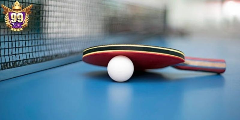 Thông tin cơ bản về đặt tiền môn bóng bàn 99Vina